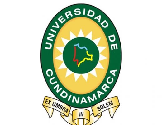 Entidades y organismos de carácter o régimen especial constitucional
