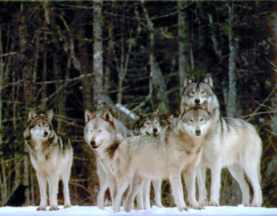 Materia y energía