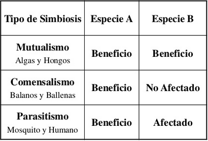 Materia y energía