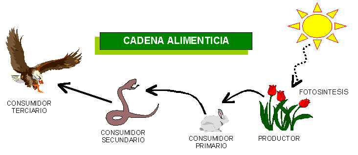 Materia y energía