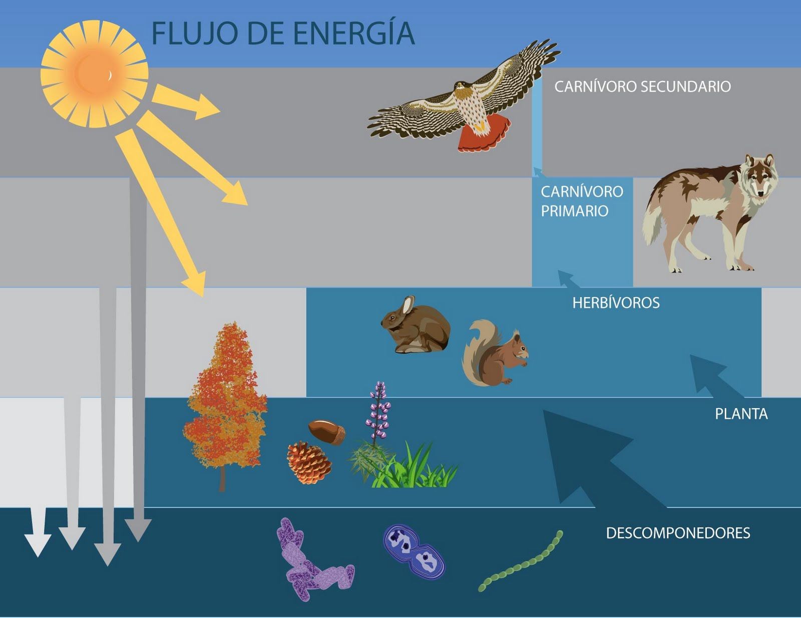 Materia y energía