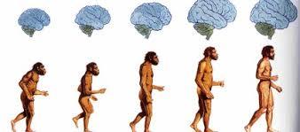 DESARROLLO HISTORICO DE LA PSICOFISIOLOGIA