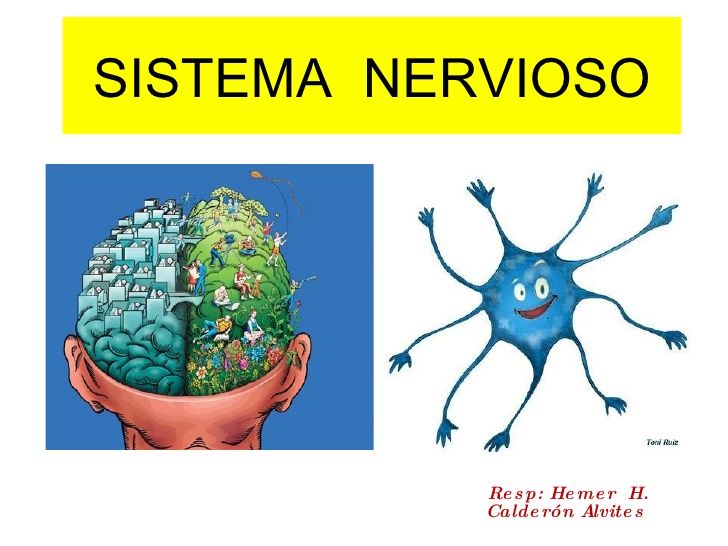 DESARROLLO HISTORICO DE LA PSICOFISIOLOGIA