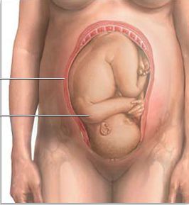 PELVIS OSEA NORMAL. PRESENTACION ACTITUD Y SITUACION FETALES. EVALUACION FETAL ANTEPARTO.