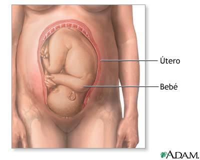 PELVIS OSEA NORMAL. PRESENTACION ACTITUD Y SITUACION FETALES. EVALUACION FETAL ANTEPARTO.