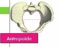 PELVIS OSEA NORMAL. PRESENTACION ACTITUD Y SITUACION FETALES. EVALUACION FETAL ANTEPARTO.