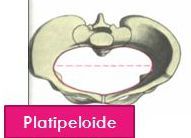 PELVIS OSEA NORMAL. PRESENTACION ACTITUD Y SITUACION FETALES. EVALUACION FETAL ANTEPARTO.