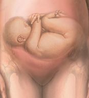 PELVIS OSEA NORMAL. PRESENTACION ACTITUD Y SITUACION FETALES. EVALUACION FETAL ANTEPARTO.