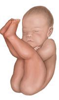 PELVIS OSEA NORMAL. PRESENTACION ACTITUD Y SITUACION FETALES. EVALUACION FETAL ANTEPARTO.