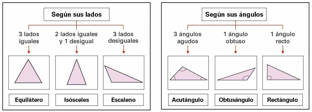 clasificación de líneas y puntos notables de los triángulos