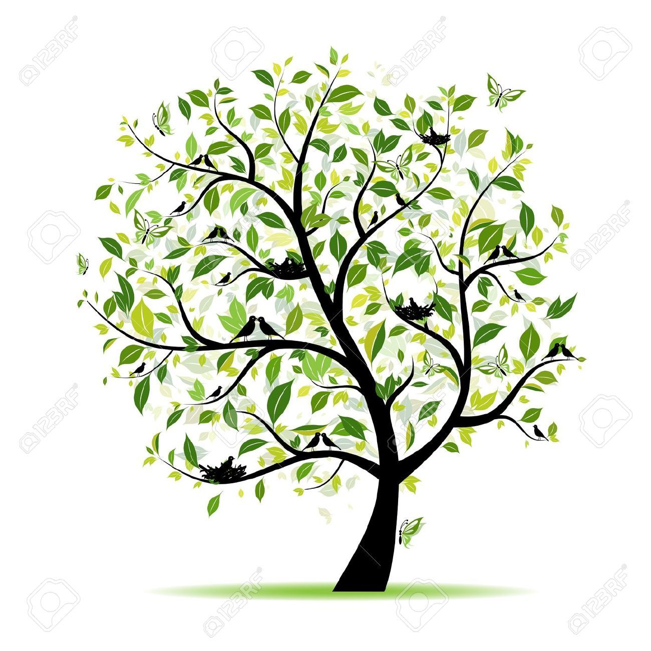 árbol evolutivo de los seres humanos
