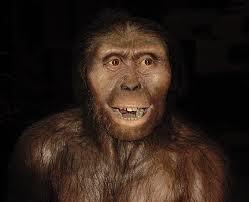 árbol evolutivo de los seres humanos