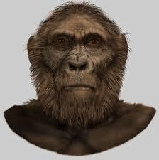 árbol evolutivo de los seres humanos