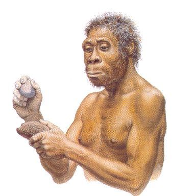 árbol evolutivo de los seres humanos