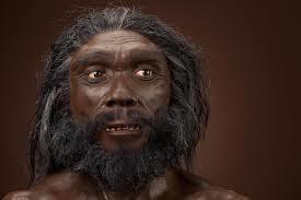 árbol evolutivo de los seres humanos