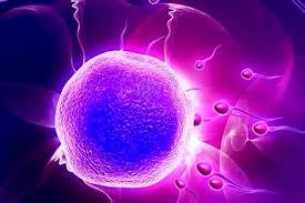 PSICOFISIOLOGÍA O PSICOLOGÍA FISIOLOGICA