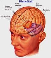 PSICOFISIOLOGÍA O PSICOLOGÍA FISIOLOGICA