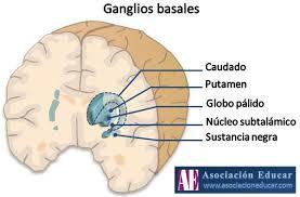 PSICOFISIOLOGÍA O PSICOLOGÍA FISIOLOGICA
