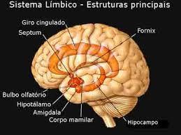 PSICOFISIOLOGÍA O PSICOLOGÍA FISIOLOGICA