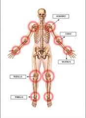 PSICOFISIOLOGÍA O PSICOLOGÍA FISIOLOGICA