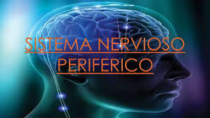 PSICOFISIOLOGÍA O PSICOLOGÍA FISIOLOGICA