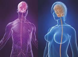 PSICOFISIOLOGÍA O PSICOLOGÍA FISIOLOGICA