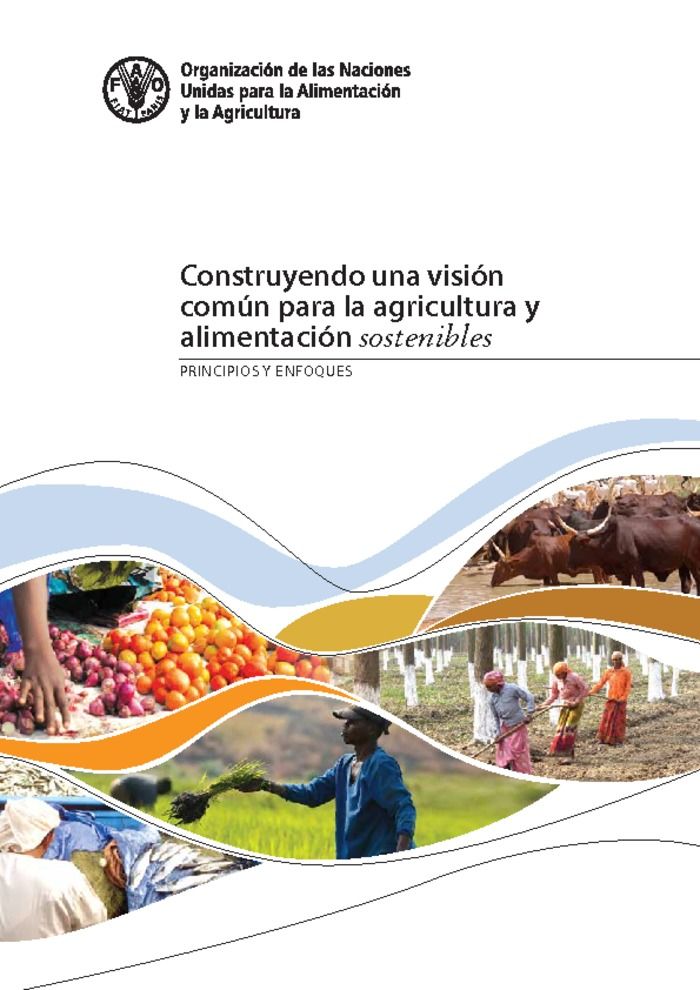 AMERICA LATINA Y LAS ESTRATEGIAS PARA EL DESARROLLO