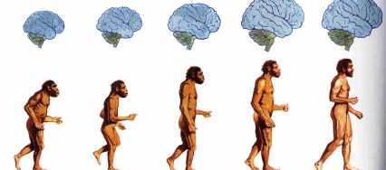 DESARROLLO HISTÓRICO DE LA PSICOFISIOLOGÍA
