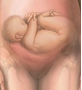 Pelvis osea normal. Presentación, actitud y situación fetal. Evaluación anteparto