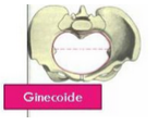 Pelvis osea normal. Presentación, actitud y situación fetal. Evaluación anteparto