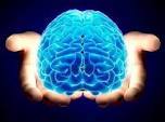PSICOFISIOLOGIA