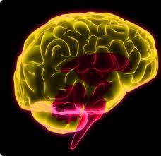 PSICOFISIOLOGIA