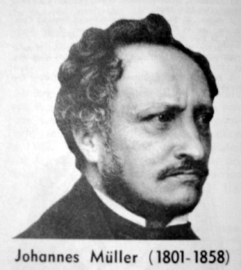 HISTORIA DE LA PSICOLOGIA FISIOLÓGICA