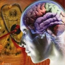 Fundamentos de la Psicofisiología, Neurodesarrollo y Sistema Nervioso.