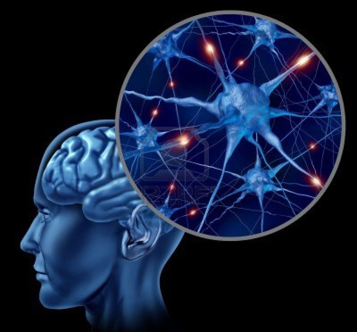 Desarrollo histórico de la psicofisiología