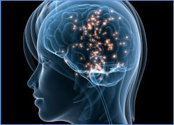 Desarrollo histórico de la psicofisiología