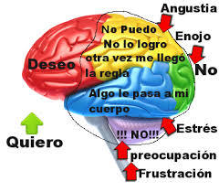 Desarrollo histórico de la psicofisiología