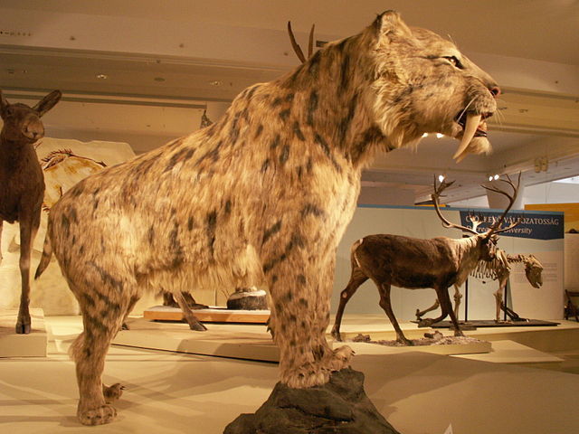 LOS ANIMALES EN PELIGRO DE EXTINCION