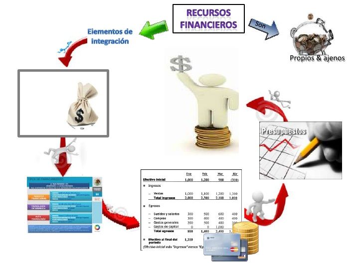 LOS RECURSOS: Objeto de estudio de la Contabilidad.