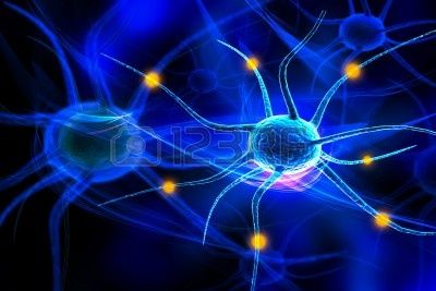DESARROLLO HISTORICO DE LA PSICOFISIOLOGIA