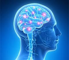 Funciones cerebrales en el envejecimiento