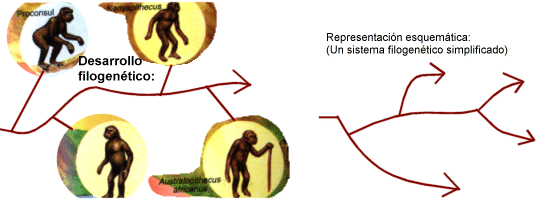 Fundamentos de la Psicofisiologia, Neuro Desarrollo, y Sistema Nervioso