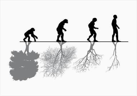 COACHING antecedentes conceptos y definiciones