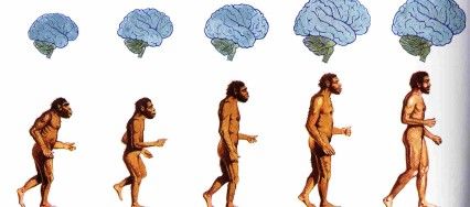 Fundamentos de la Psicofisiología, Neurodesarrollo y Sistema Nervioso.