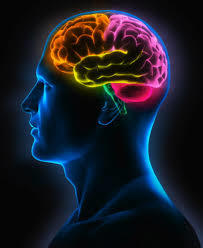 DESARROLLO HISTORICO DE LA PSICOFISIOLOGIA