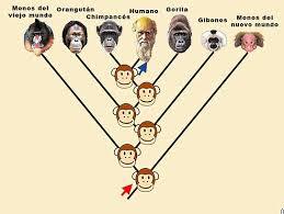 DESARROLLO HISTORICO DE LA PSICOFISIOLOGIA