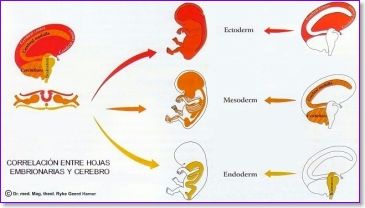 DESARROLLO HISTORICO DE LA PSICOFISIOLOGIA