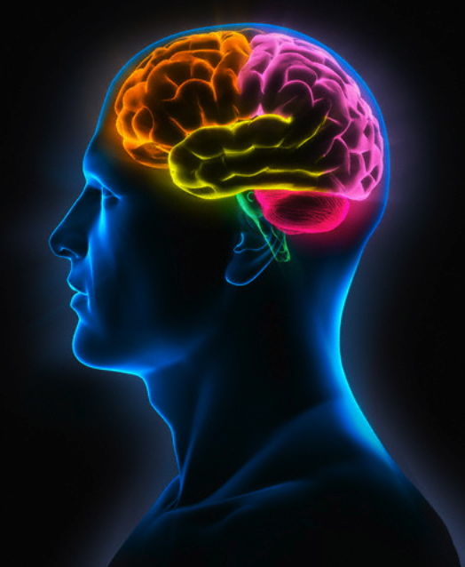 DESARROLLO HISTORICO DE LA PSICOFISIOLOGIA