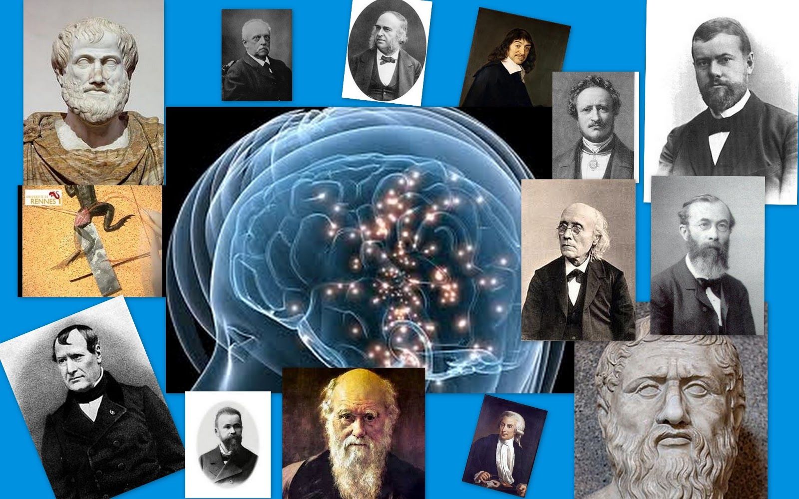 PSICOFISIOLOGIA POR LIZZET MONSALVE