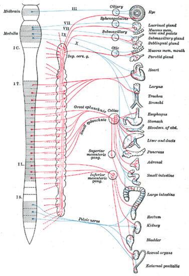 Desarrollo Historico de la Psicofisiologia